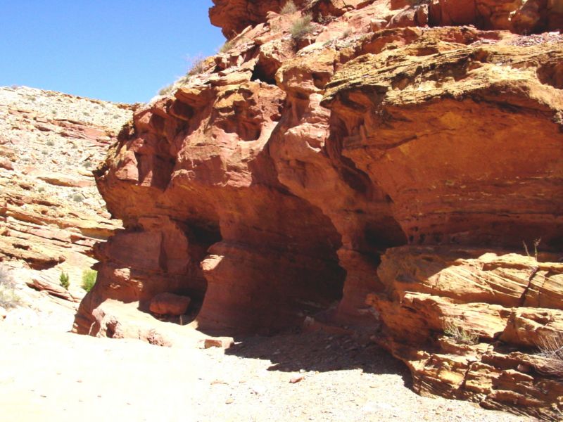 04160302LittleWildHorse (1011)